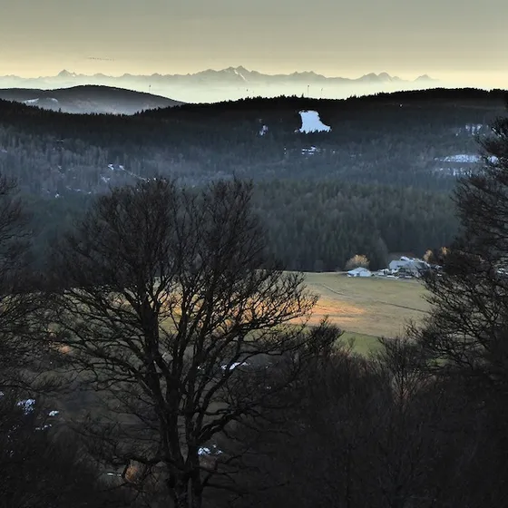 Bild: Kaffee mit Schuss