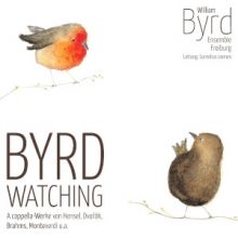 Bild: William Byrd Ensemble Freiburg