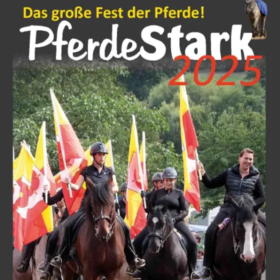 Bild: PferdeStark