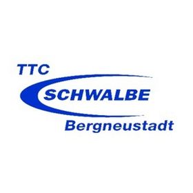 Bild: TTC Schwalbe Bergneustadt