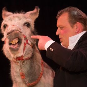 Bild: Circus Carelli - Reutte in Tirol