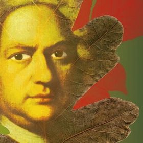 Bild: Köthener Herbst