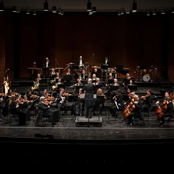 Bild: Philharmonisches Orchester Trier