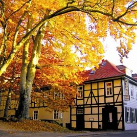 Bild: Internationale Händel Festspiele Göttingen