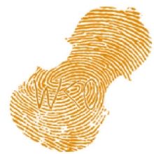 Bild: Wasserburger Kammerorchester