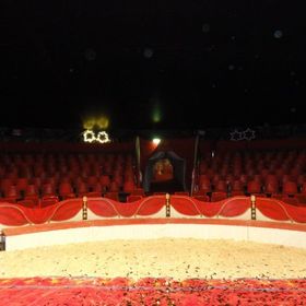 Bild: Braunschweiger Weihnachtscircus