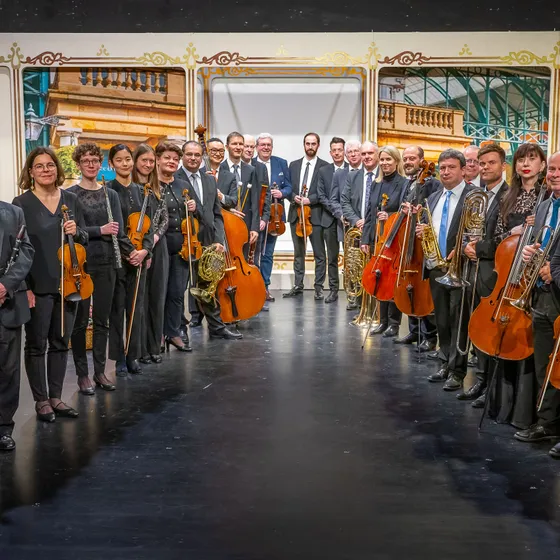 Bild: Harzer Sinfoniker