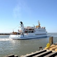 Bild: Neuwerk - Cuxhaven - Einfache Fahrt - MS Flipper