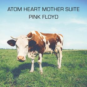 Bild: Atom Heart Mother Suite - Stadt- und Jugendblasorchester Ansbach