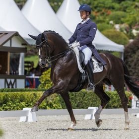 Bild: Schafhofs Festival