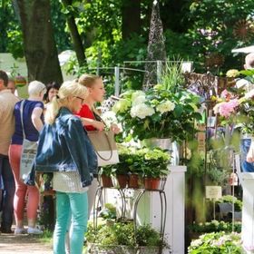 Bild: Garten & Ambiente