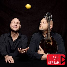 Bild: Die Feisten -  Livestreams