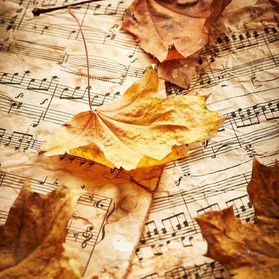 Bild: Dinslakener Kammerorchester