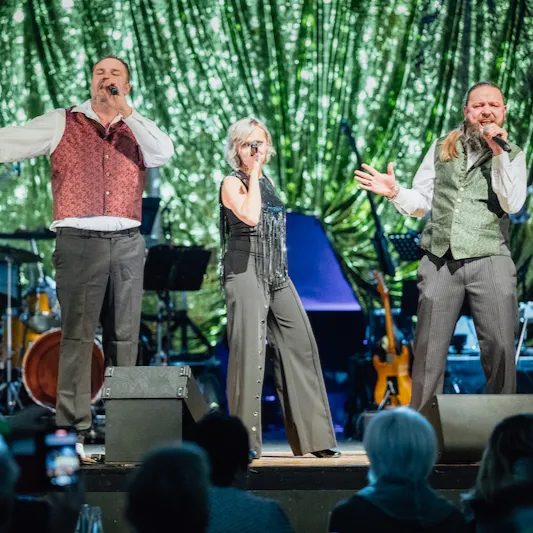 Bild: Die große Schlagergala