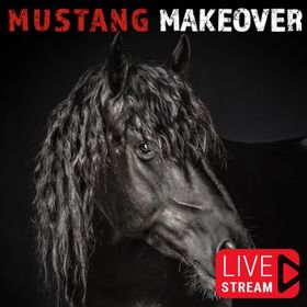 Bild: Mustang Makeover - Livestream