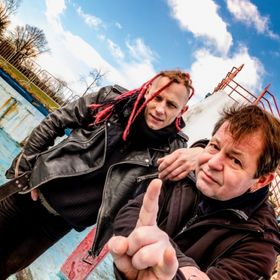 Bild: Abstürzende Brieftauben