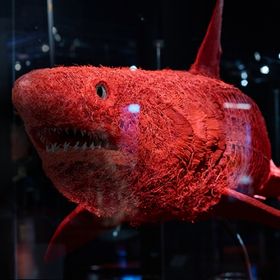 Bild: Plastinarium - Guben