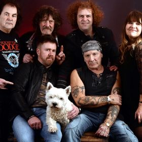 Bild: T.Rex - The Music of Marc Bolan & T.Rex