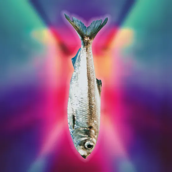 Bild: Die Sardine im Fahrstuhl - Theater Die Komödianten