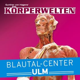 Bild: Körperwelten - Eine HERZenssache - Ulm