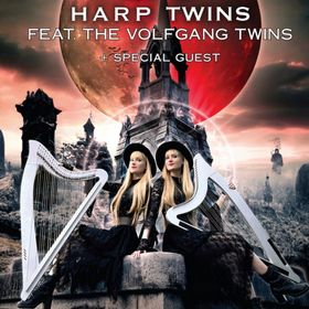 Bild: Harp Twins & Volfgang Twins