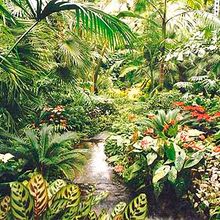 Bild: Palmengarten Frankfurt