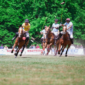 Bild: Polo Meisterschaft