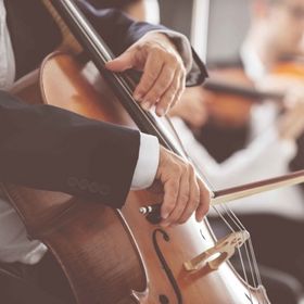 Bild: Neubrandenburger Philharmonie