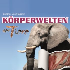 Bild: Körperwelten der Tiere - Ulm