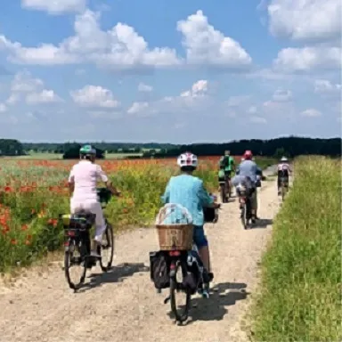 Bild: Geführte Fahrradtour in Ebstorf