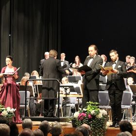 Bild: Donau Philharmonie Wien