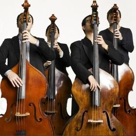 Bild: Bassiona Amorosa