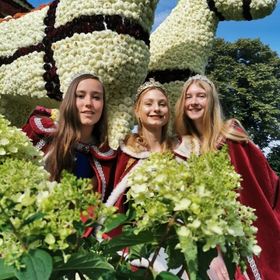 Bild: Blütenfest Wiesmoor