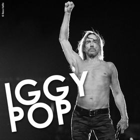 Bild: Iggy Pop