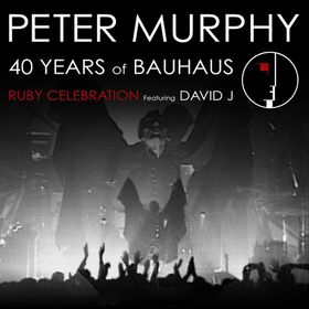 Bild: Peter Murphy - 40 Years of Bauhaus