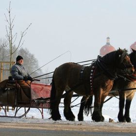 Bild: Moritzburg: Kutschfahrt - Barokkokko 