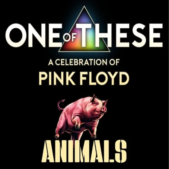 Bild: One Of These Pink Floyd Tributes