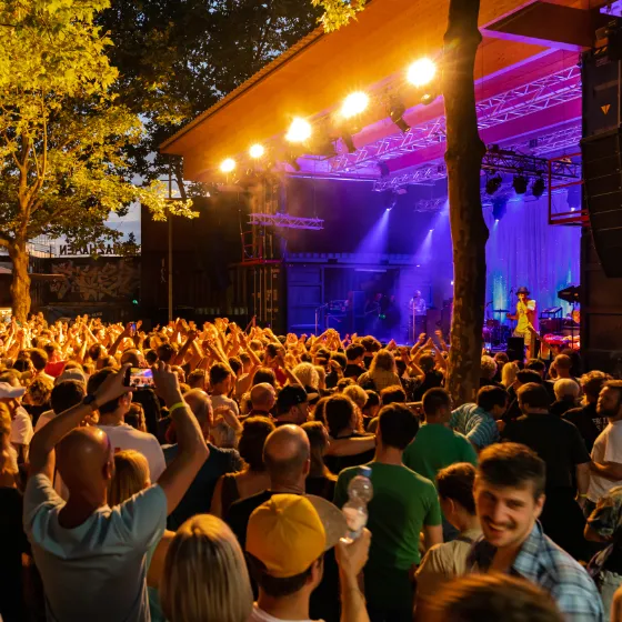 Bild: HafenSounds Festival