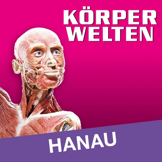 Bild: Körperwelten Hanau