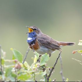 Bild: Dr. Ernst Paul Dörfler