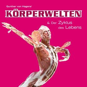 Bild: Körperwelten Klagenfurt - Zyklus des Lebens