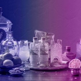 Bild: Gin-Tasting - New Spirits