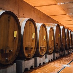 Bild: Weinerlebnis im Steinbergkeller - Kellerführung