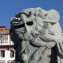 Bild: Michaela Münzberg