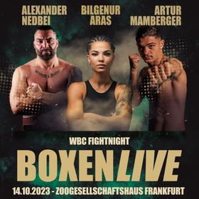 Bild: Boxen: IBO Championsnight im Zoo-Gesellschaftshaus Frankfurt