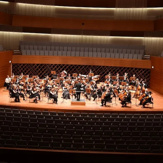 Bild: Orchestertage Bochum