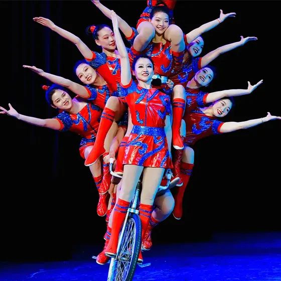 Bild: Elmar Kretz Ravensburger Weihnachtscircus