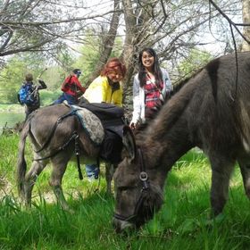 Bild: Eselwanderung & Wildkräuterführung mit Oliver Haury