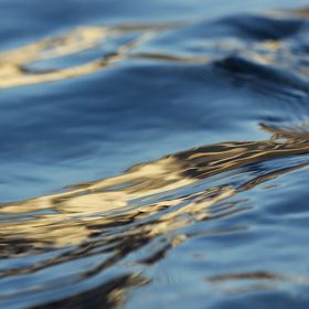 Bild: rheingold Kongress