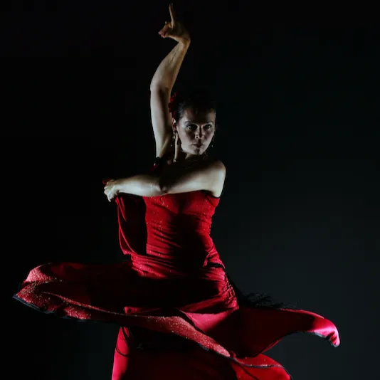 Bild: Flamenco Vivo